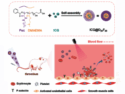 Targeted heat therapy for clots using smart nanomicelles