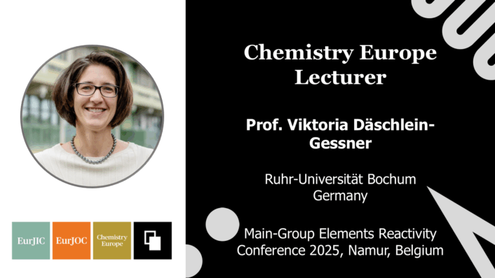 Main-Group Elements Reactivity Conference (MG-ERC)