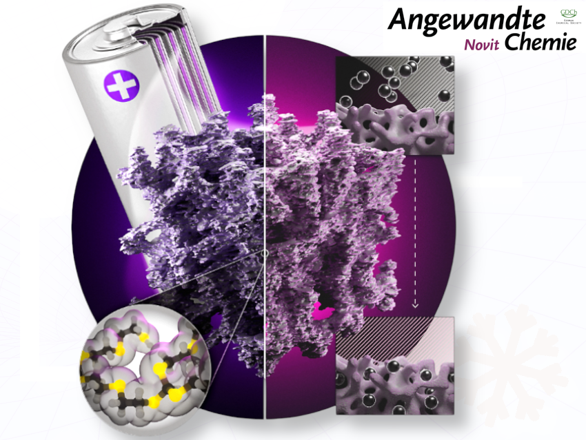 Sulfur-Rich Network Polymers via Dynamic C–S Bonding