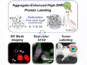 Photothermal/ONOO–Generating Imaging-Therapy Nanoplatform