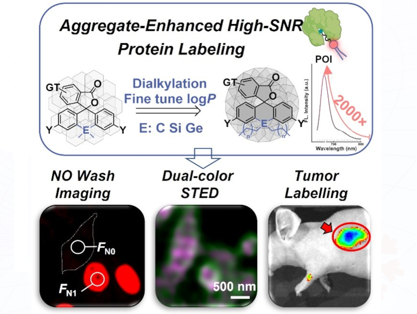 Photothermal/ONOO–Generating Imaging-Therapy Nanoplatform