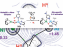 🧪 Article Highlight: C(sp²)–H Activation via a Ni–Al Complex