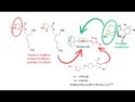 Triazole Power Play: New Hybrids Target Diabetes with Precision