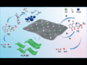 Green Technology: Co₄N@C Breaks Down Tetracycline