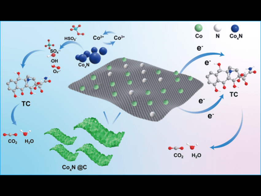 Green Technology: Co₄N@C Breaks Down Tetracycline