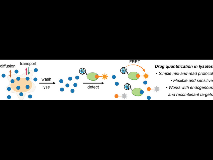 TR-FRET Patform for Rapid Drug Measurement in Cells