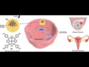 Porphyrin Nanodots Target Breast & Cervical Tumors