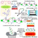 CP-1: A New Frontier in Infection Treatment
