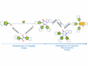 Fe(III)-Directed 15-Step Domino Oligomerization
