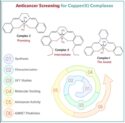 Copper-Salen complex shows promise as safer cancer agent