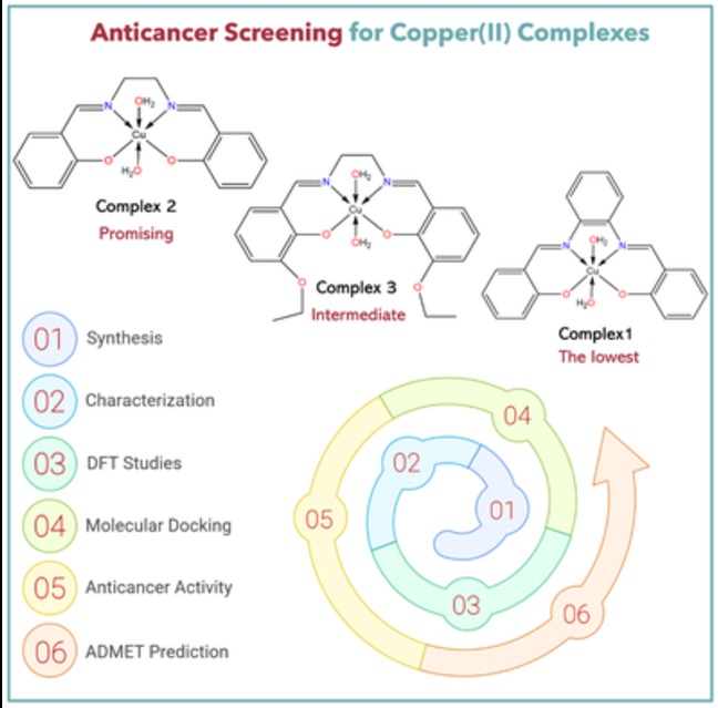 Copper-Salen complex shows promise as safer cancer agent