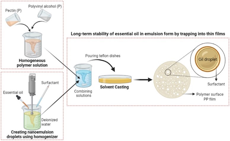 Antibacterial Patches Using Melaleuca Oil Nanoemulsions
