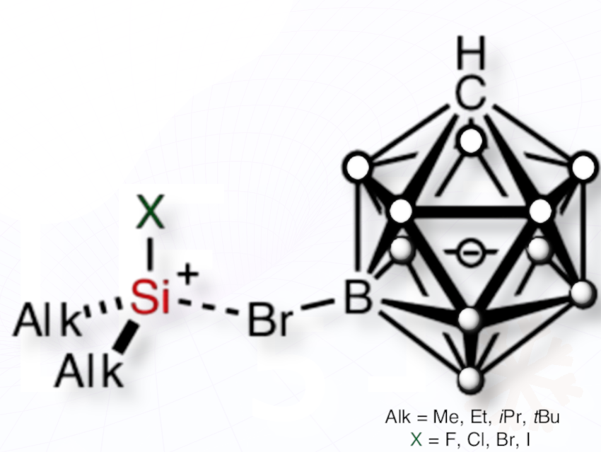 Halogen-Substituted Silylium Ions