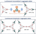 Intrinsic Luminescence of Pure Organic Mono- and Di-Radicals in Aggregated States
