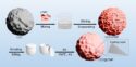 Ti/Mg Doping Inhibits Harmful Phase Transitions in High-Voltage LiCoO₂