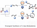 From Flat Rings to 3D Carbon-Nitrogen Cage Drug Scaffolds