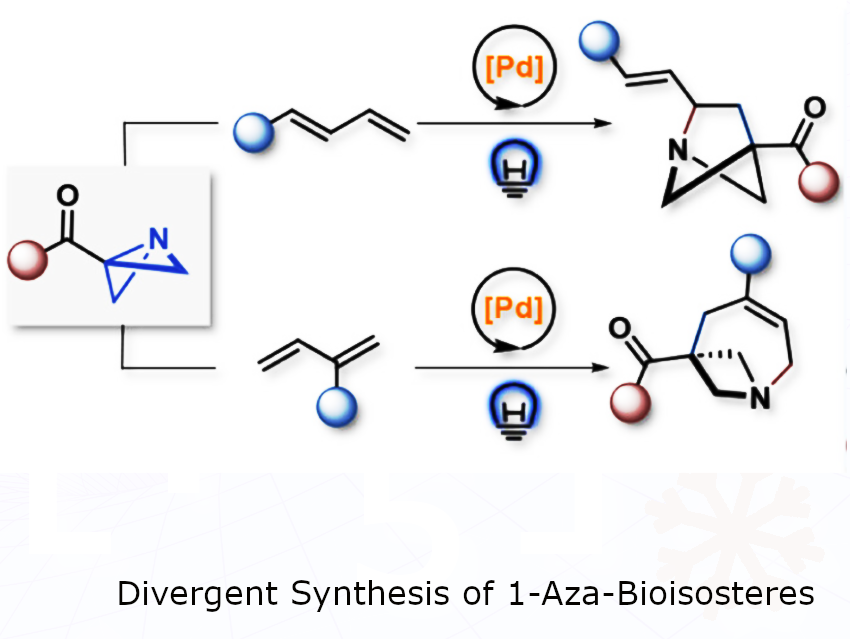 From Flat Rings to 3D Carbon-Nitrogen Cage Drug Scaffolds