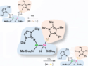 Alumanyl Silyl Coinage Metal Complexes: Tuning Si–M Bond Reactivity and CO₂ Activation