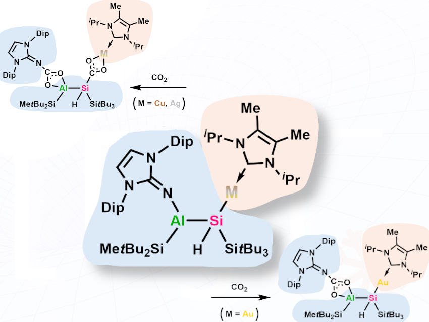 Alumanyl Silyl Coinage Metal Complexes: Tuning Si–M Bond Reactivity and CO₂ Activation