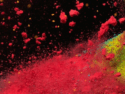 BASF, AkzoNobel, and Arkema Collaborate to Cut CO₂ Footprint of Powder Coatings