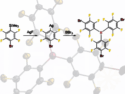 🧪 Article Highlight: Expanding the Toolbox of Fluorinated Lewis Acids with B(C₆F₄Br)₃