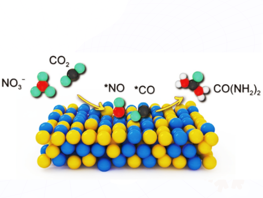 High-Efficiency Photoelectrocatalytic Urea Synthesis