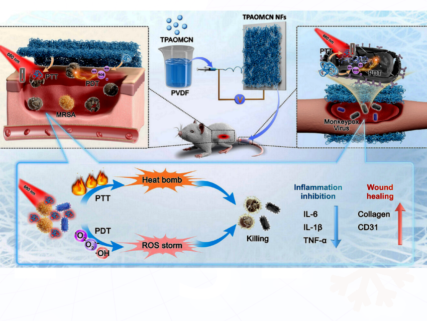 Nile Red Derivatives-Mediated Phototherapy Against Pathogenic Microorganisms