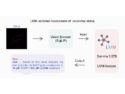 An NIR Fluorescent Probe for Assessing Lysosomal Function