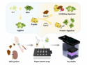 AIEgen-Based Cystatin C Quantitation for Chronic Kidney Disease Monitoring