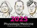 Nobel Prize in Physiology or Medicine 2025