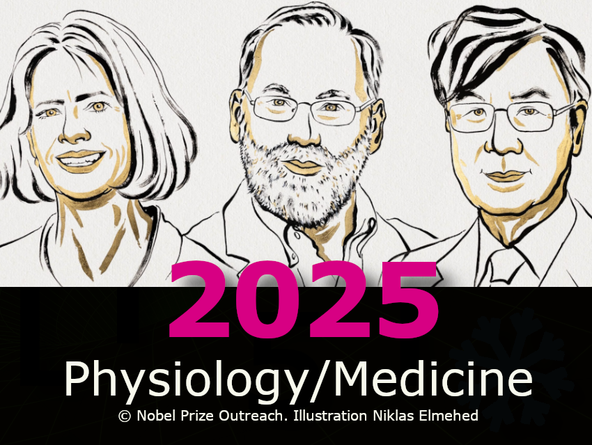 Nobel Prize in Physiology or Medicine 2025