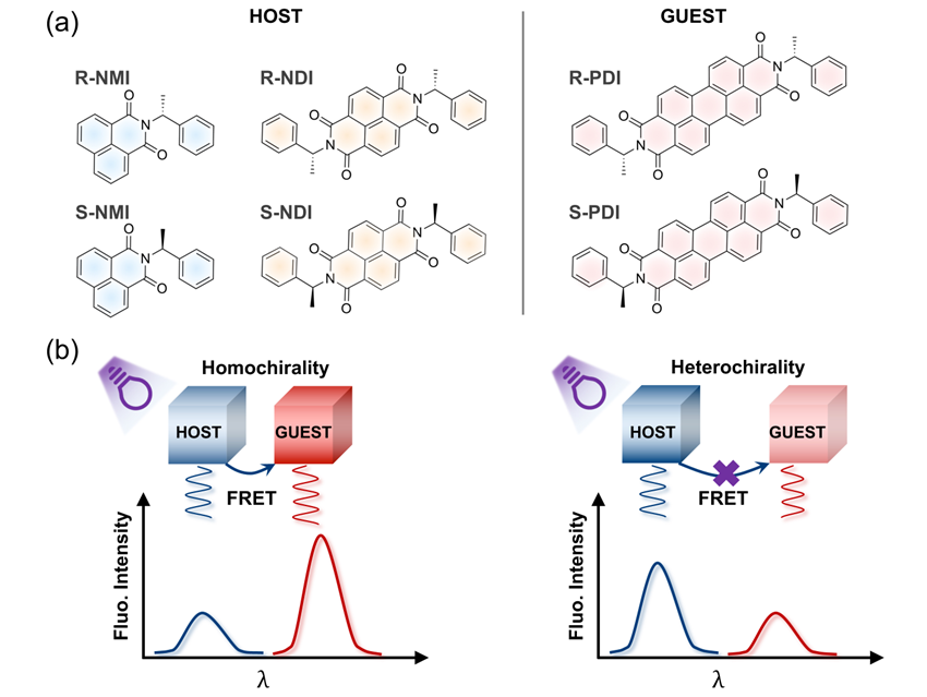 Resonance Energy Transfer Enables Chiral Recognition in the Solid State