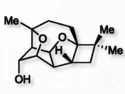 Enantioselective Total Synthesis of the Natural Product (+)-Punctaporonin U