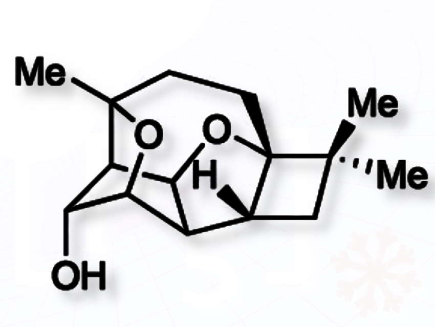 Enantioselective Total Synthesis of the Natural Product (+)-Punctaporonin U