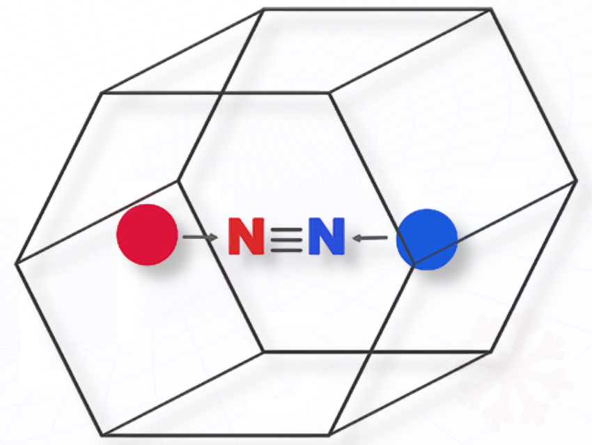 Dual Lewis Acid–Base Molecular Cages Activating N₂ via Cooperative Interactions
