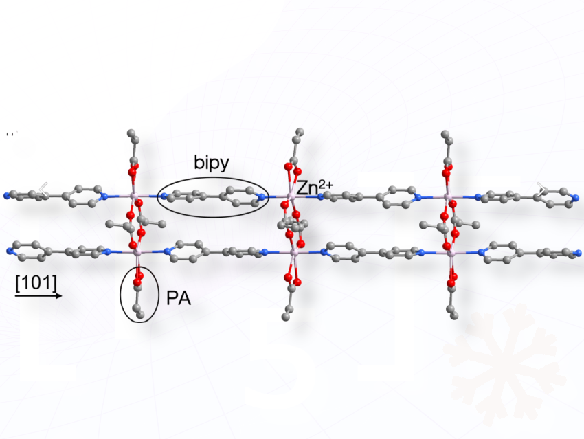 Stable Zn⁺ Species in a Ladder-Like Polymer