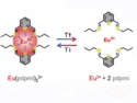 Coordination Motorized Oscillator Converts Low-Grade Thermal Energy into Usable Motion