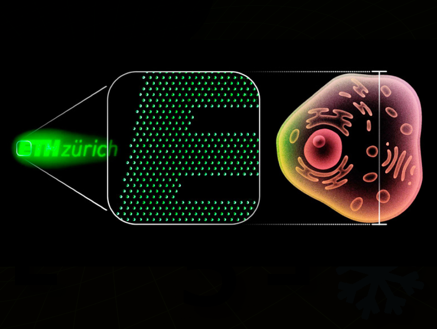 Tiniest Organic Light-Emitting Diodes (OLEDs)