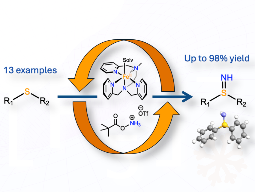 Mild, Bioinspired Iron Catalyst Enables Late-Stage Sulfilimination