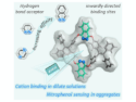 Diazine-Tetraphenylethylene Cyclo[6]arenes for Molecular Recognition in Solution and Aggregate States