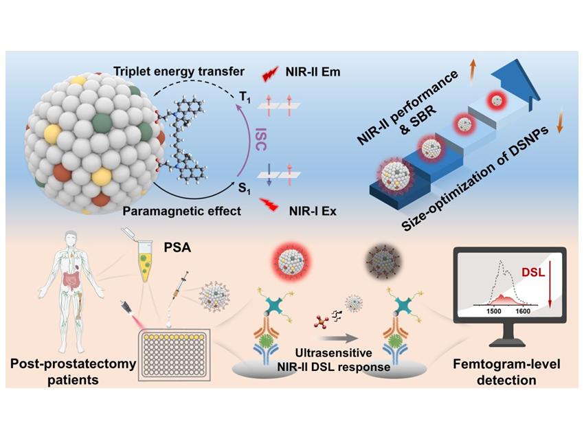 Triplet Energy Transfer Nanocomposites for Highly Sensitive Prostate-Specific Antigen Detection