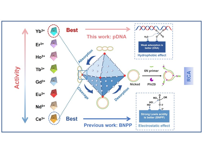Affinity-Driven DNA Hydrolysis by Engineering Ln-MOF Nuclease Nanozymes