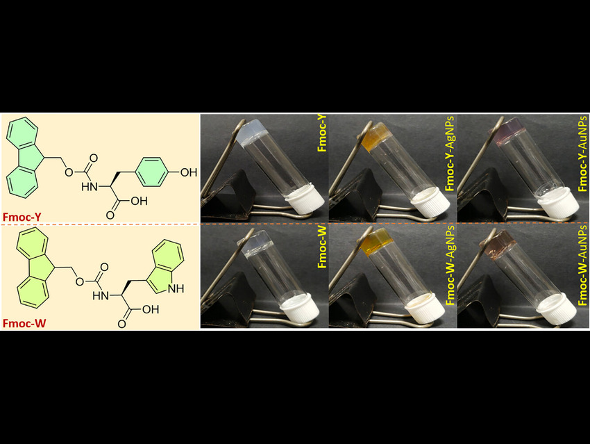 Hybrid Hydrogels for Water Purification And Drug Synthesis