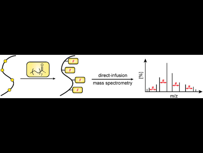 Impact of Multiple S-Palmitoylation on Peptide Behavior in Mass Spectrometry