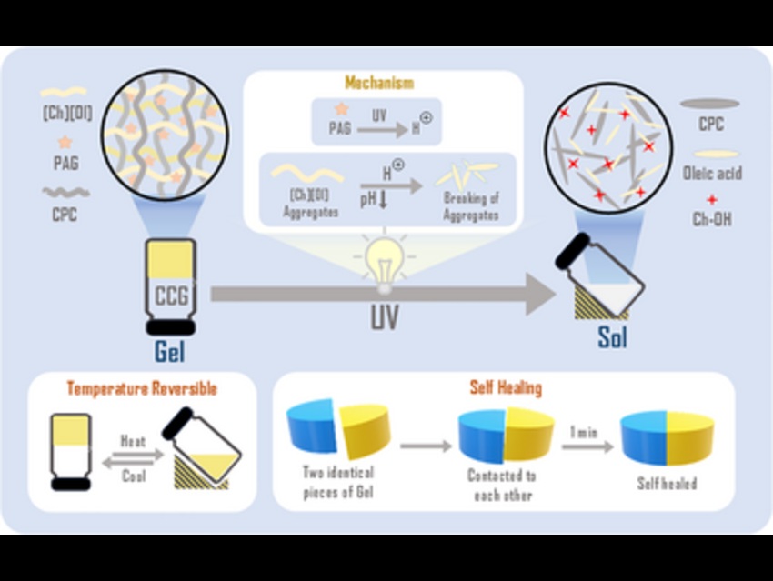 Light And Heat-Responsive Self-Healing Smart Gel System