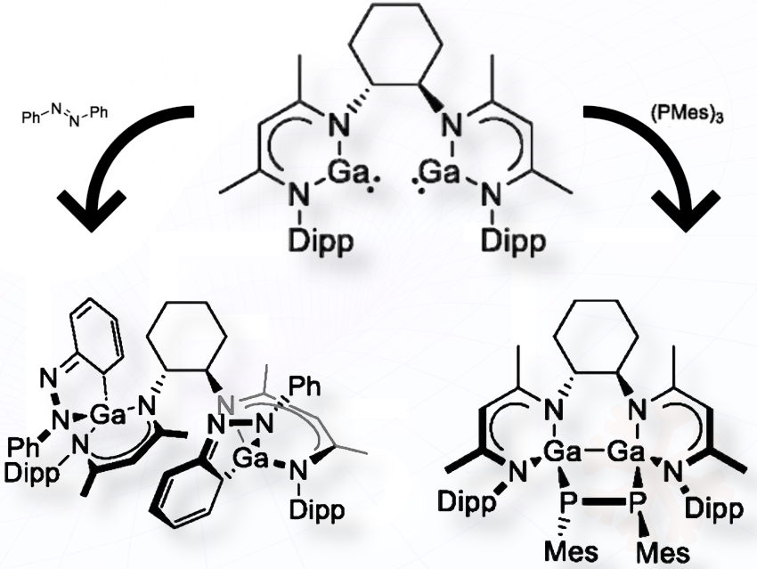 Bis(gallylene) Reactivity: Insights from Reactions with Azobenzene and (PMes)₃