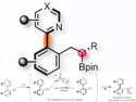 Catalytic Asymmetric Construction of Atropisomers With Non-Adjacent Chiral C−B Bonds