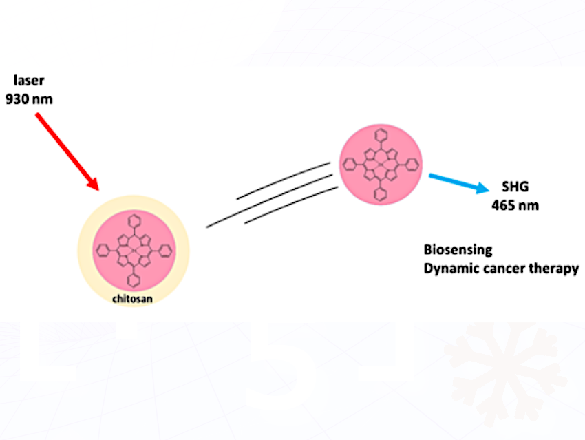 Cobalt Porphyrin–Chitosan Microspheres for Biosensing and Anticancer Therapy