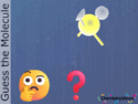 Guess the Molecule
