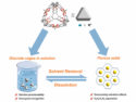 Ion–Dipole Interaction–Driven Assembly of Amphibious Silicate Cages with Host–Guest Recognition